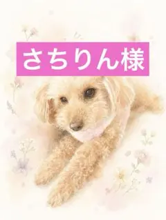 さちりん様専用ページ