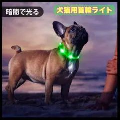 Item thumbnail for item bc93739c-b3c4-4e50-8548-2095af8ea130