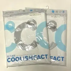 TOPVALU COOLISHFACT VネックTシャツ L 2枚