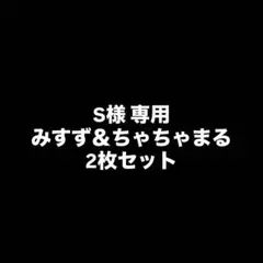 S様専用 2枚セットあつ森 amiiboカード