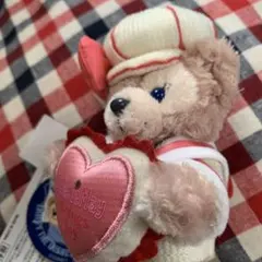 お顔厳選 バレンタインシェリーメイぬいば