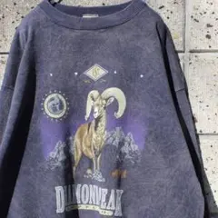 USA製 90's　DIAMOND PEAK ゆったりサイズ 古着 スウェット