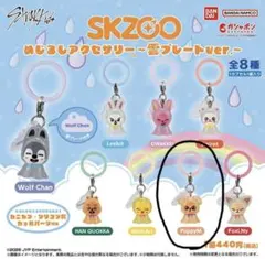 skzoo パピーエム・スンミンセット 2026年最新】パピーム スンミンの人気アイテム - メルカリ