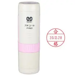 P1 新品 日付入り合格印スタンプ 「サンビー プチコールPRO15」