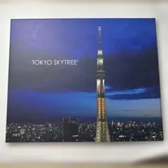 スカイツリー 写真入れ