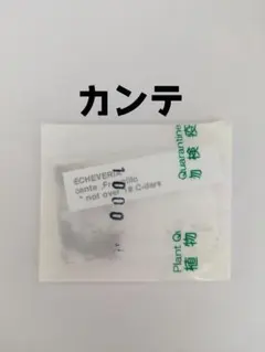 おかゆん⭐️様 リクエスト 2点 まとめ商品