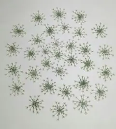 Item thumbnail for item 2ca151c2-6373-4ed8-88dc-90cf5d411feb