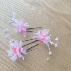 Item thumbnail for item f324cb9c-9cb7-42b3-bd14-e347a91c8026