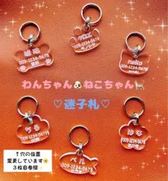 Item thumbnail for item 3f04389e-c886-4adb-8886-a1c2680d4080