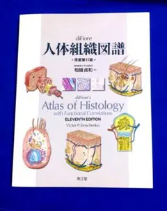 Item thumbnail for item 6f789657-6903-436c-a0a2-bb130a6e1392