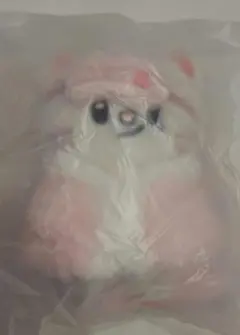 Straykids Stray Kids ジニレット　10cm