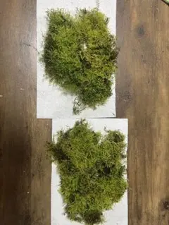 302様リクエスト品⭐︎