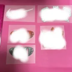 早い者勝ち！アイロンシートセット