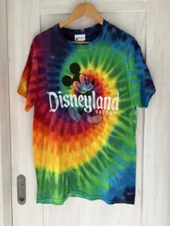 ディズニー Tシャツ 総柄 レインボー 30周年 ディズニーリゾート