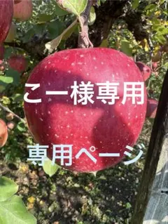 こー様専用　2K大玉