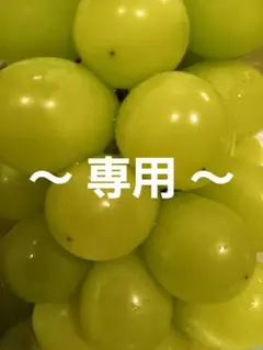 @sk8_aa様　ご専用