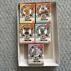 ポケモンキッズ テラパゴス編　5体