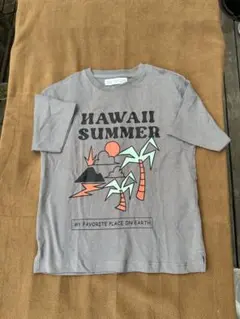 Hawaii Summer Tシャツのサムネイル