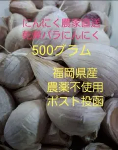 鹿児島県産 農薬不使用 2026年産 乾燥にんにく 沖(バラ) 900g - メルカリ