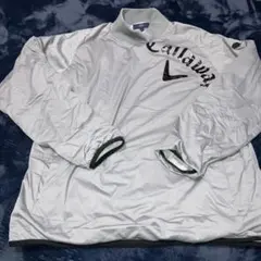 Item thumbnail for item 8c20387f-f71d-46e9-a19c-24d4eccc315d