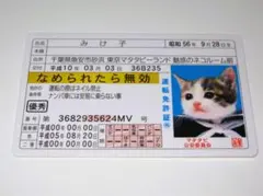 【なめ猫 免許証風 ブロマイド みけ子】なめんなよ猫 なめねこ 癒し 癒やし 金