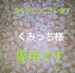 くみっち様 専用 低糖質パン ほろにがチョコのSOYブレッド2個