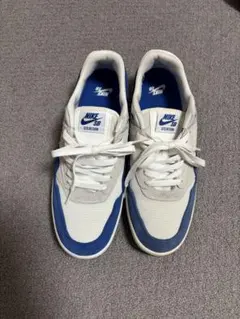 Nike SB GTS return ホワイト/ブルー スニーカー
