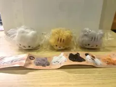 ねこちゃん マスコット ぬいぐるみ 3種セットのサムネイル