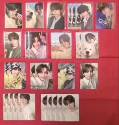 TWS シニュ トレカ まとめ