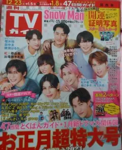 TVガイド お正月超特大号