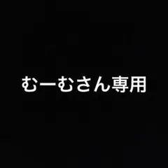 むーむさん専用 ビーズキット