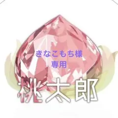 きなこもち様専用 オーダー