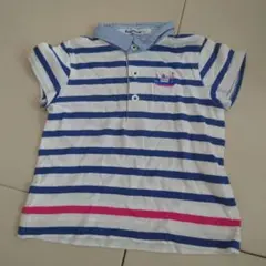 familiar 青白ストライプ ポロシャツ