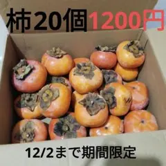 柿 約20個