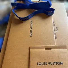 LOUIS VUITTON ショップ袋 オレンジ