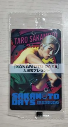 目黒蓮SAKAMOTODAYS映画特典カード