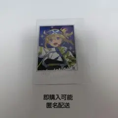 FGO FGOフェス 9周年 ポートレイト 謎のヒロインX