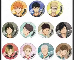 アニメ「ハイキュー!!」　カンバッジ(ブラインド)　vol.1 缶バッチ