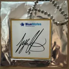 2025年最新】オースティン サインボールの人気アイテム - メルカリ