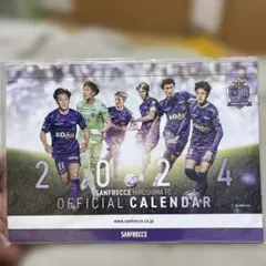 Item thumbnail for item 7008c4dc-5465-447b-827a-5b05b9305f7c