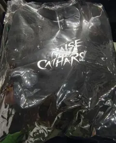 RAISE A SUILEN✕トゲナシトゲアリ 特製コラボスウェットシャツ