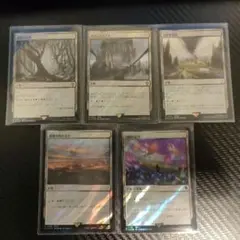 【サージFoil】MTG FF 白黒土地 まとめ売りサイオンズ・スペル