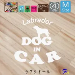 Item thumbnail for item 9fdb78ef-4542-4adf-bb7f-a4ff05275f66