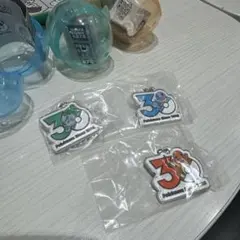 ポケモン30周年　メタルチャームマスコット　御三家セット