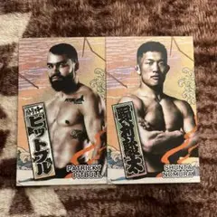 RIZIN PPVカード 野村駿太 、パトリッキーピットブル