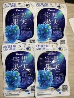 カンロ 空想果実 イトビスの実 4袋セットのサムネイル