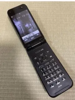 Softbank COLOR LIFE 5 401PMのサムネイル