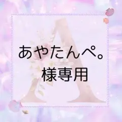 あやたんぺ。様 リクエスト 3点 まとめ商品