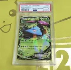 フシギバナ＆ツタージャ GX タッグチーム PSA9 - メルカリ
