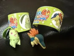 ポケモン チョコエッグ　ヒノアラシ　チコリータ